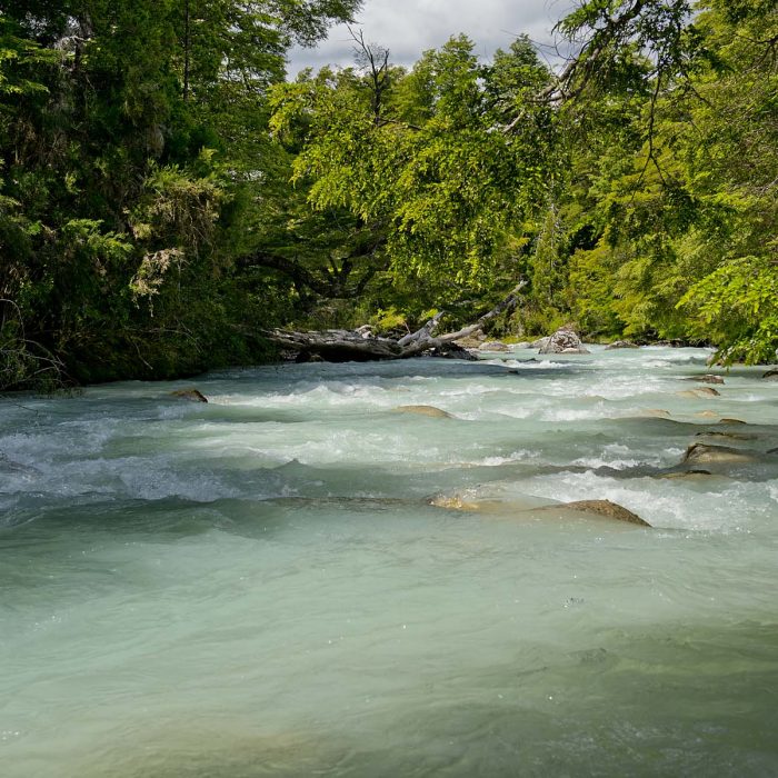 Bild patagonien