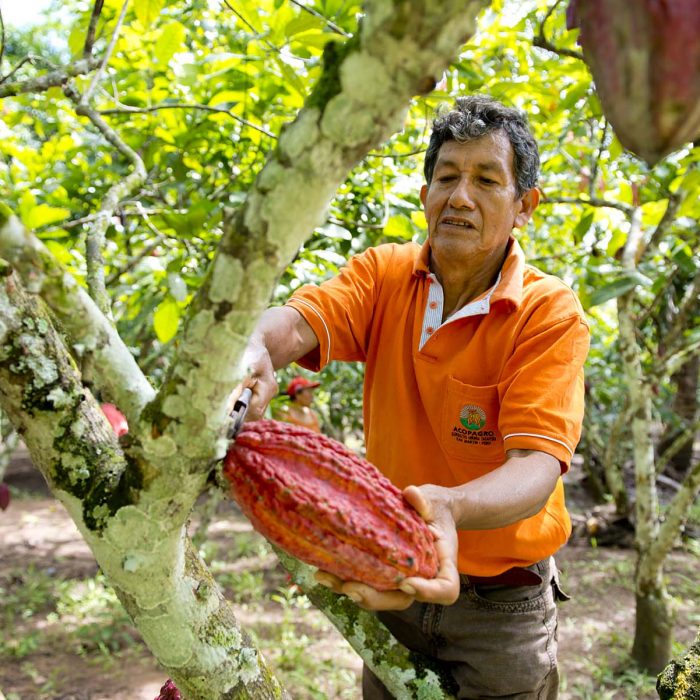 Bild schokolade-vortrag