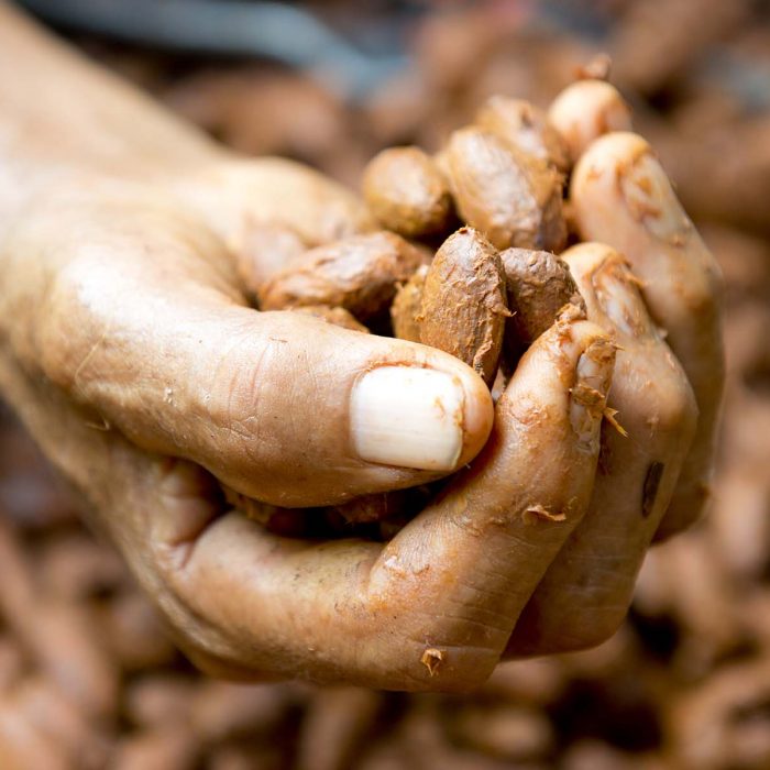 Bild schokolade-vortrag