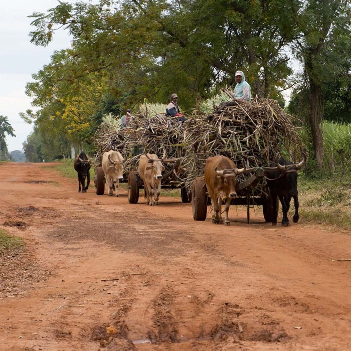 Bild schokolade-vortrag