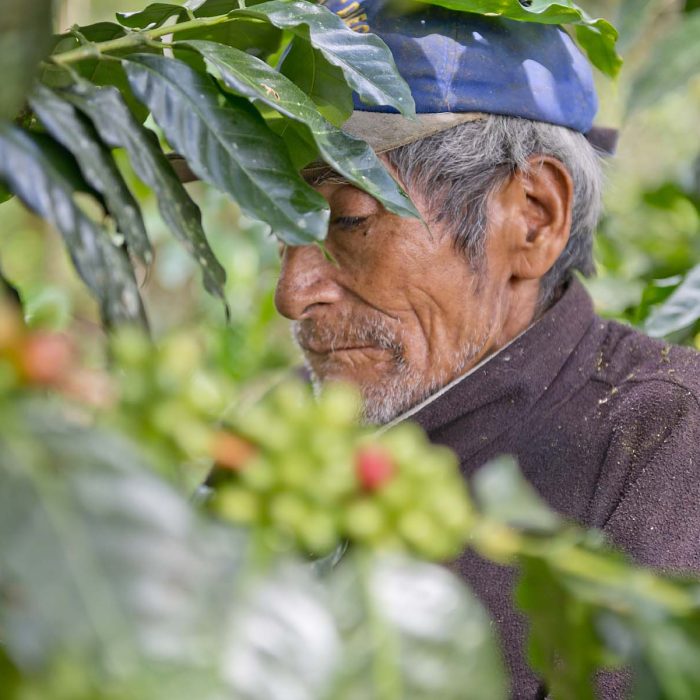Bild schokolade-vortrag