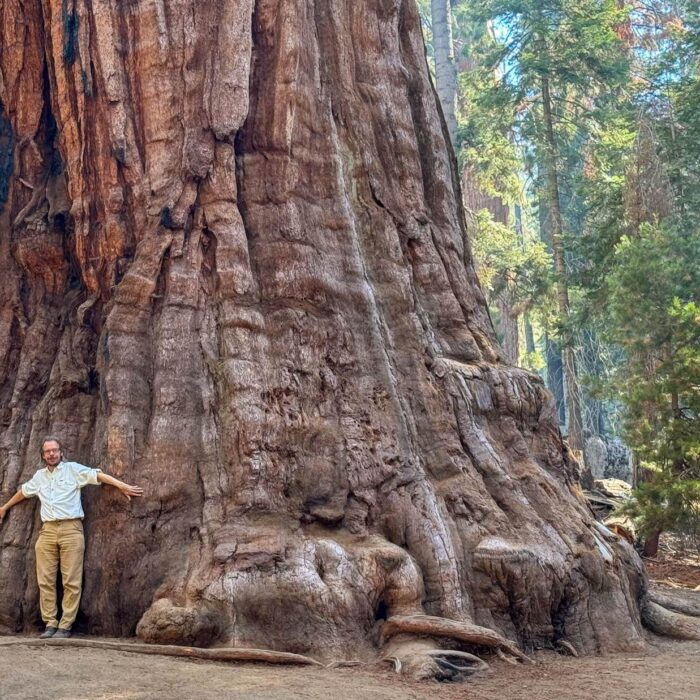 Bild freizugehen-vortrag