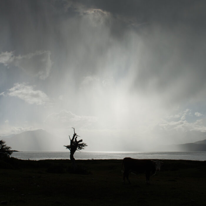 Bild freizugehen-vortrag