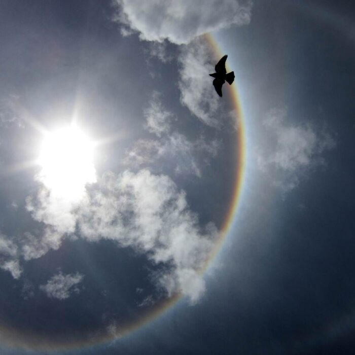 Bild freizugehen-vortrag